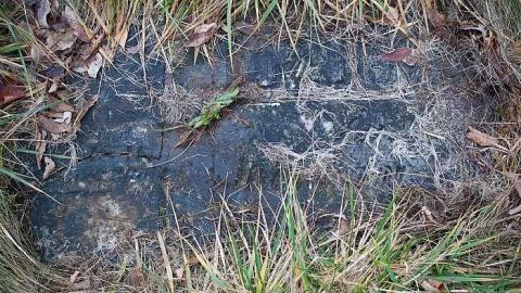 Lumley Cemetery photo 3