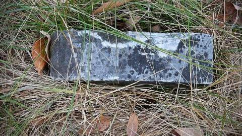 January 2019 - Lumley-Cemetery5.jpg