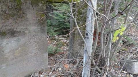 Buildings - Nickel-Offset-Buildings2.jpg