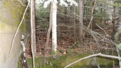 Buildings - Nickel-Offset-Buildings6.jpg