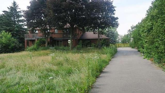 45 Harris Ave 'flowers'n'parquet photo 4