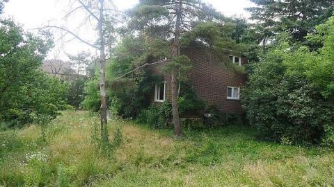 Outdated Backsplit - IMG_9773.jpg