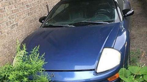 Total eclipse of the heart - IMG_5552.jpg