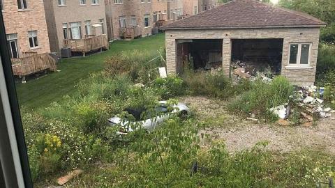 Total eclipse of the heart - IMG_5574.jpg