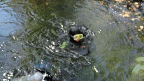 Photo from Diving the Mine