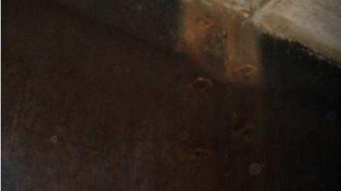 Mystery Hatch photo 3