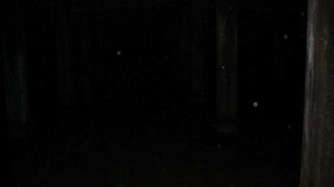 Mystery Hatch photo 5