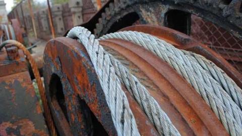 Bridge 9 - Where-Cats-Go-To-Die35.jpg