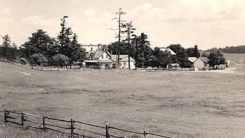 Photo from Aemilius Jarvis Looks Like Rev