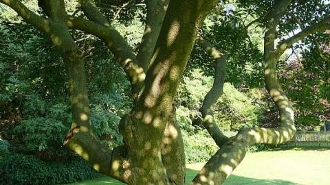 St. Peter's - St-Peters--Church-Cemetery8.jpg