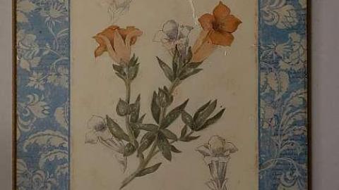 Smash The Like Button '19 - DSC03076.jpg