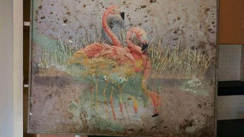 Smash The Like Button '19 - DSC03103.jpg