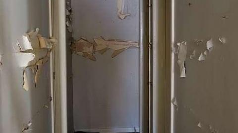 Smash The Like Button '19 - DSC03113.jpg