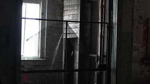 Spexel  - Spexel24.jpg