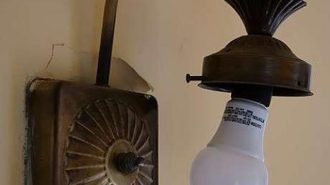 Be Stupid '19 - DSC03216.jpg