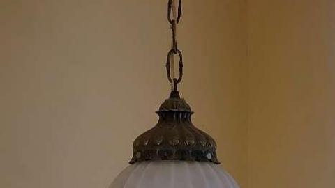 Be Stupid '19 - DSC03247.jpg