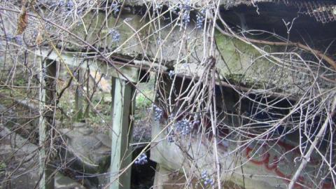 Oct 30, 2011 - Darnley-Mill-Crooks-Hollow279.jpg