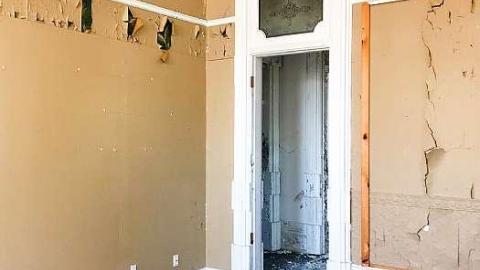 Lonely Giant - IMG_9077.jpg