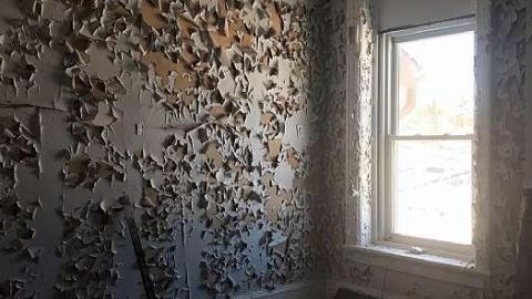 Lonely Giant - IMG_9099.jpg