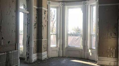 Lonely Giant - IMG_9123.jpg