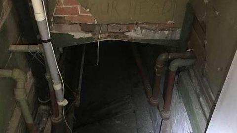 Lonely Giant - IMG_9146.jpg