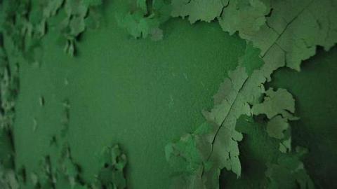 Another visit - Deer-Lodge12.jpg