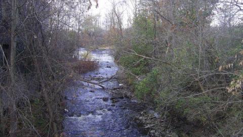 Oct 30, 2011 - Darnley-Mill-Crooks-Hollow285.jpg