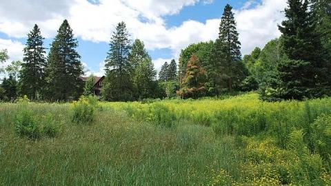 Another visit - Deer-Lodge18.jpg