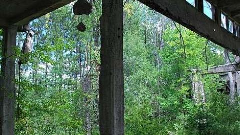 This place is huge! - Donald-(ghost-chemical-plant)53.jpg