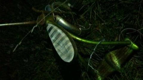 Gallery1 - photo (42).jpg