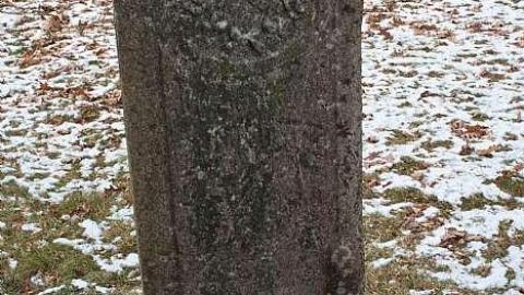 January 2019 - Brayne-Burying-Grounds6.jpg