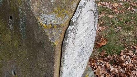 January 2019 - Brayne-Burying-Grounds27.jpg