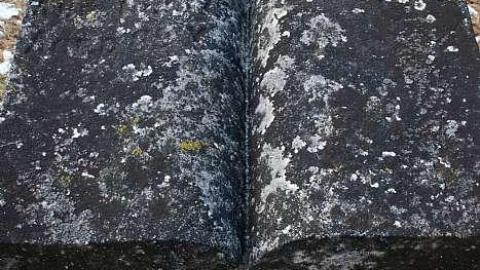 January 2019 - Brayne-Burying-Grounds29.jpg