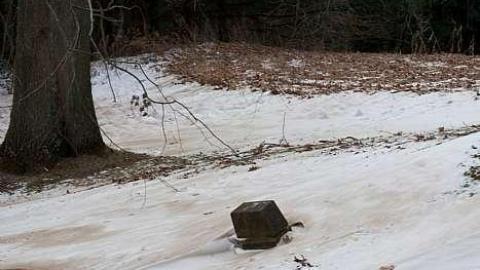 January 2019 - Brayne-Burying-Grounds14.jpg