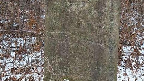 January 2019 - Brayne-Burying-Grounds15.jpg