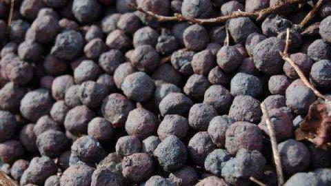 Gallery - Griffith-Mine3.jpg