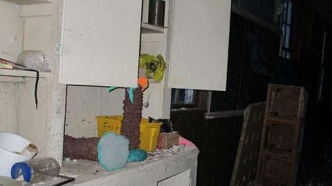 Out Of The Woods - Wades-Corners-School--S.S.-818.jpg