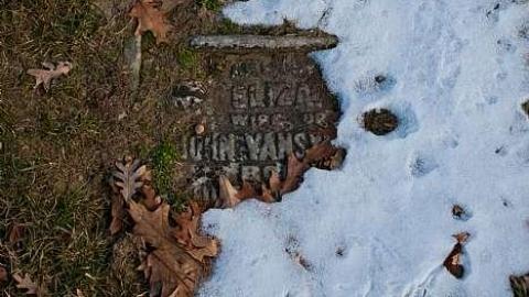 January 2019 - United-Empire-Loyalists-B.Gnd.21.jpg