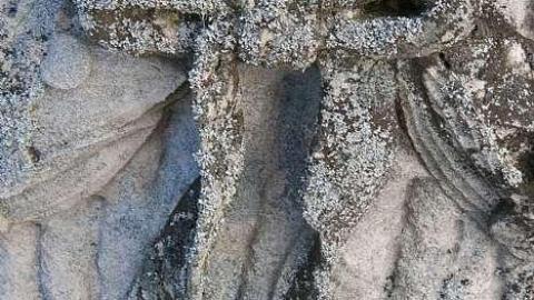 January 2019 - United-Empire-Loyalists-B.Gnd.15.jpg