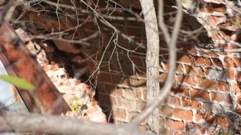 More Massanoga - Massanoga-(ghost-town)27.jpg