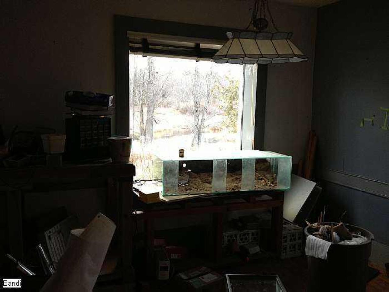 Maitland House - Mercedes-Tricycle24.jpg