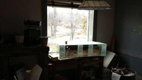 Maitland House - Mercedes-Tricycle24.jpg