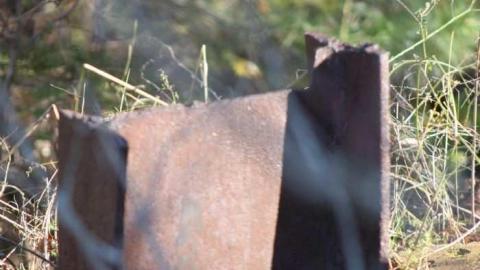 Photo from More Massanoga