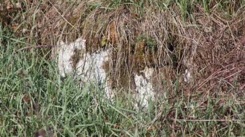 More Massanoga - Massanoga-(ghost-town)33.jpg