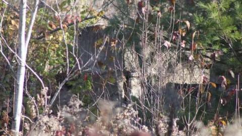 More Massanoga - Massanoga-(ghost-town)34.jpg