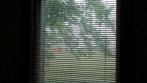 Golden Schultz '18 - DSC08261.jpg