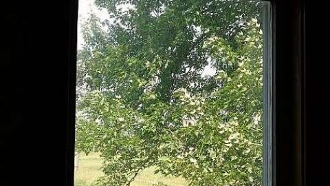 Golden Schultz '18 - DSC08280.jpg