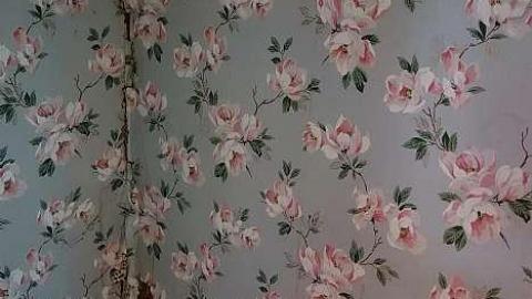 Golden Schultz '18 - DSC08288.jpg