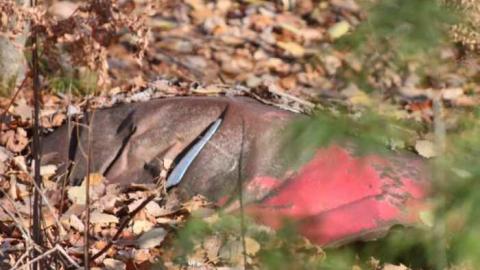 around the ruins - Massanoga-(ghost-town)8.jpg