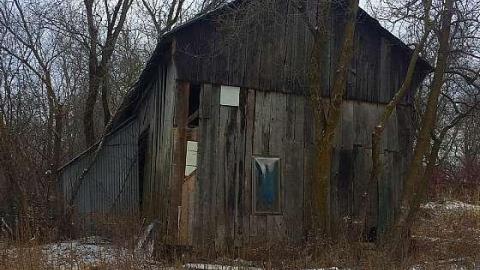 King Glider Plane photo 4